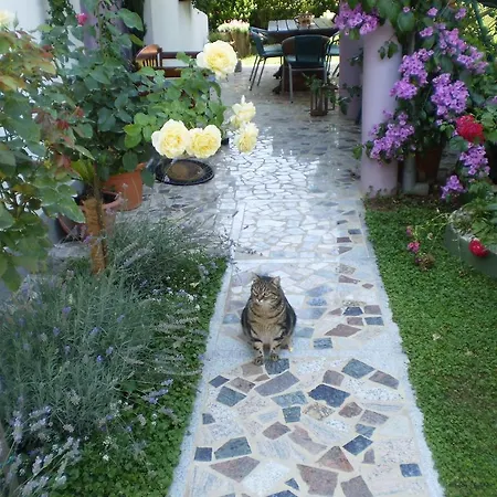 Apartment Nada Bibinje