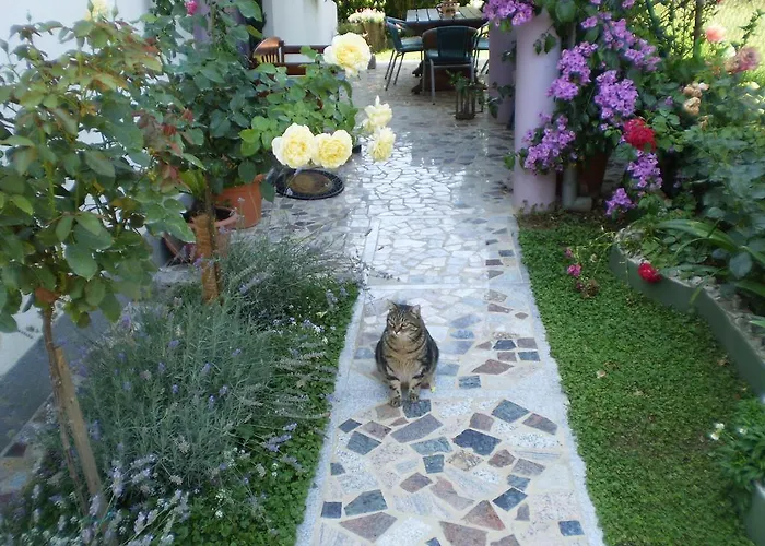 Lägenhet Nada Bibinje